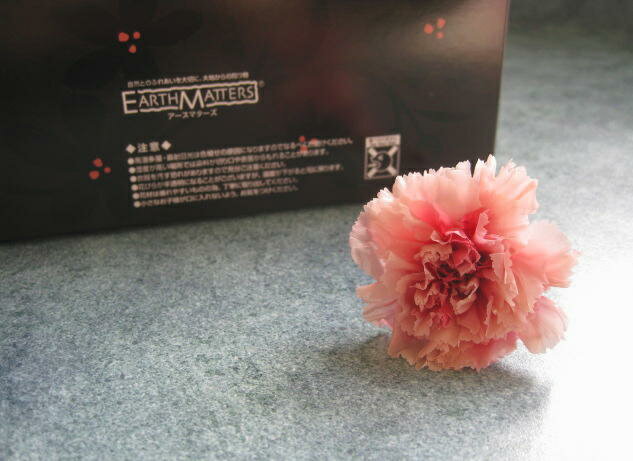 【花材】プリザーブドフラワー　大地農園カーネーション・スフレ1箱8輪入り　ベリーピンク