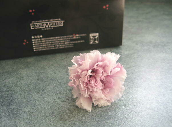 【花材】プリザーブドフラワー　大地農園カーネーション・スフレ1箱8輪入り