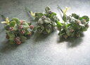 【花材】造花 ポーチベリーピック1束同色3本入り