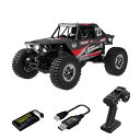 P.D UDIRC 2.4GHz 4WD 1/24 RTR スノーレオパード 比例制御 RCカー リモコンカー ラジコンカー オフロード ロッククローラー クライミングケージ オイル充填ショック