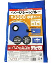 モリリン ブルーシート レジャーシート 10枚セット イメージシートブルー #3000 厚手 1.8×5.4m ポリカーボネートハトメ 使用目安約1年
