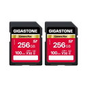 Gigastone SDカード 256GB Camera Plus S...(2)