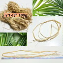 ラフィア 100g 束 手芸 天然 ハク ヘイ 花冠 ラッピング ハンドメイド 椰子タヒチアン 衣装 フラダンスハワイアン クラフト raffia