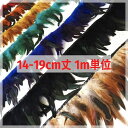 フェザーロール 14-19cm丈 1m単位 【10色】 フェザーテープ タヒチアン ポリネシア タヒチ 衣装 ヘッドドレス ヒップベルト サンバ バレエ 羽根 ...