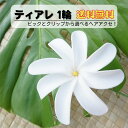 【1輪】ティアレ 10cm 髪飾り ヘアアクセ フレンチポリネシア 造花 くちなし ピック クリップ タヒチアンダンス フラダンス フラ 衣装 リゾ婚 パーティー 演出 発表会 お遊戯会 タヒチ ハワイ tiare プレゼント プチギフト リゾート 初心者 ビーチ