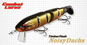 エバーグリーン　ティンバーフラッシュ　ノイジーダックス　【EVERGREEN】