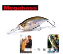 【Megabass メガバス】IXI SHAD TYPE-3　アイバイアイ シャッド タイプ3 （その2）