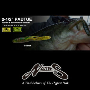 ノリーズ　パドチュー2-1/2インチ　NORIES 