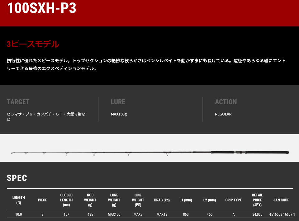 オキナワ マンビカ 100SSXH (3)