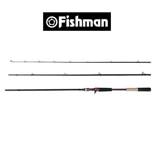 フィッシュマン　ビームス インテ9.8L　Fishman Beams inte