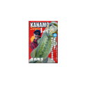 ワンワークス DVD 金森隆志 KANAMO　STYLE　[極] 1st