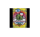 【大特価】DVD 伊豫部健 【10TEN-FEET UNDER ub-B.ONEWAY.Crew Vol.3】
