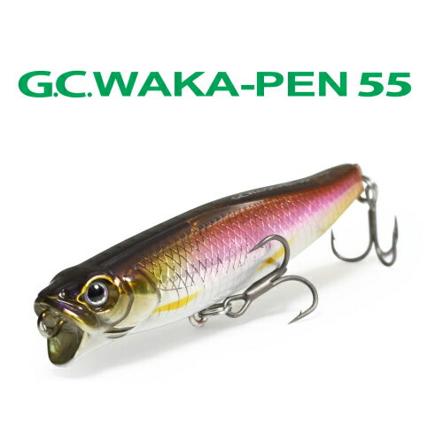 一誠 （イッセイ）　G.C.ワカペン 55