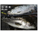 【在庫あり 即納】 リップルフィッシャー シルバーストリーム 106 ノーザン ナノ( SilverStream 106 Northern Nano)