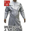 【ポイント2倍】寅壱 寅一 作業服 鳶衣料 ニッカポッカ 2型トビジャンパー x ロングニッカ 上下セット 37.シルバー 2530s308414 作業服 作業...
