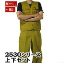 寅壱 上下セット ベスト x ニッカズボン 2530s611406 カラシ 48 作業服 作業着 ニッカポッカ 作業ズボン 鳶服