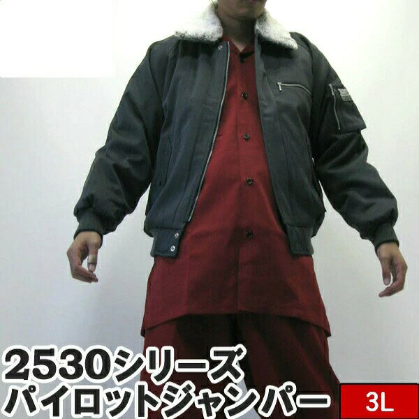 『寅壱/寅一』TOPへ【商品お問い合わせ番号】mg14169b【商品属性コード】【cb-blsn-torch-q】【r-torch】【c-blsn】【torch】【blsn】【bsy-10-p】【bs-10-blsn-z】【yn13y14m】寅壱 寅一 とらいち メンズ パイロットジャンパー ドカジャン 鳶衣料 作業着 作業服 大きいサイズ 77 スミグレー 3L寅壱 のパイロットジャンパー 77.スミグレー！ 3L寅壱 寅一 パイロットジャンパー/ドカジャン / 77.スミグレー 3L 大きいサイズ 2530-124 ブランド寅壱 寅一素材POLYESTER 85%COTTON 15%-STAFF COMMENT-「安物」ではない「本物」、こだわりの寅壱。 鳶服、作業着として圧倒的な支持を得ている寅壱から定番 のパイロットジャンパー/ドカジャンが登場です。袖裏キルトに温かな裏ボア仕様中綿がたっぷり入り防寒、保温性に優れています。多彩なカラーバリエーションでコーディネートを楽しめるのも魅力。静電防止加工が施されているので寒い季節も快適に作業をすることができます。 ならではの耐久性もウリです。上下のセットとして、素材感とカラー感を合わせてご注文を希望される場合には、 同士で上下のカラーを合わせてご注文ください。&nbsp;採寸情報⇒詳しい採寸方法はこちらからご覧ください(単位：cm)サイズ3L総丈身幅裄丈肩幅726691-※寸法は湿気などの要因で、生地の収縮が起こり、上記実寸が多少前後してしまうことがございますが、ご了承ください。関連アイテム&nbsp;
