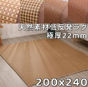 ラグ 200×240 低反発ラグ 厚手 天然素材 ラグ ひんやり 夏用 洗える ラグマット 240 200 低反発カーペット 北欧 カーペット おしゃれ 滑り止め付 センターラグ 極厚 本間 2畳 江戸間 二畳 ラグカーペット へたらない 敷き布団 蒸れない 汗取り 防臭 快適 熱中症対策 夏 ラグ