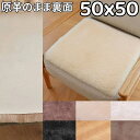 ムートン 座布団 50x50 短毛 高級 原皮 洗える 50 50cm ムートンクッション 車 ムー ...
