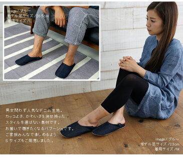【送料無料 ネコポス メール便】Deniche デニーシュ ルームシューズ 室内 おしゃれ かっこいい コンパクト メンズ レディース 男女 上履き スリッパ 学校 授業参観 入学式 卒業式 2WAY