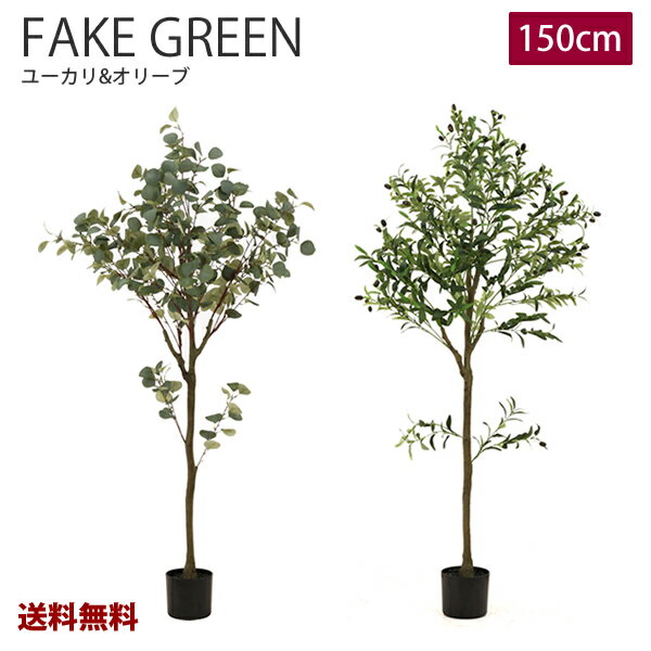 【送料無料】FBM-49　フェイクグリーン　ユーカリ　オリーブ　150cm　ジョイント　観葉植物　造花　インテリア　 人工観葉植物　大型　カフェ　玄関　リビング　事務所　新築　開業　開店　引越し　モダン 室内　会社　自宅　飾り　ギフト