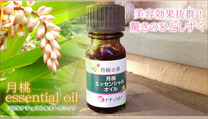 日本香堂 ESTEBAN(エステバン) エスプリ ド テ リフレッシャーオイル15ml 53065 冠婚 葬祭 | 関連単語 法事ギフト 快気祝い 忌明けギフト 香典返し 粗供養 出産内祝い お供え物 内祝い 贈答品 弔事ギフト 志ギフト カタログギフト冠婚葬祭 四十九日お返し