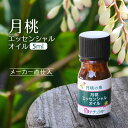 【シマゲットウ使用】 月桃 アロマオイル 5ml 精油 エッセンシャルオイル 送料無料 和精油 今帰仁 高品質 オーガニック マッサージ リフレッシュ リラックス 安眠 無添加 日本製 国産 手作りコスメ 手作り化粧品 手作り石鹸 素材 材料 美容 抗菌 天然 沖縄 琉球 シマ月桃