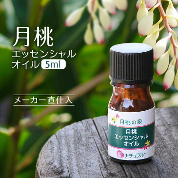 月桃エッセンシャルオイル5ml （精油）ホントにすごい、美容エッセンス薬草のような香り成分が若々しく健康美人に導きます！