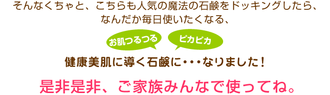 【お得な2個組】魔法の石鹸 洗顔石鹸 固形 無添加 ビューティーくちゃソープ 100g オーガニック 毛穴 ニキビ 敏感肌用 純石鹸 月桃 低刺激 アロマ 保湿 女性 メンズ 沖縄 クレイ 泥 洗顔石けん 自然派 国産 日本製 美容 顔 身体 ボディ フェイシャル 泡 合成界面活性剤不使用