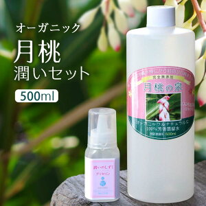 月桃の泉化粧水 セット 500ml 大容量 無添加 オーガニック ゲットウ 月桃水 芳香蒸留水 スキンケア 大人にきび 大人 ニキビ ケア 思春期ニキビ ケア にきびケア コスメ 肌荒れ 敏感肌 エイジングケア メンズ 男性 毛穴 あご おでこ 鼻 国産 50代