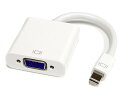 送料無料　Mini DisplayPort/DisplayPort to H