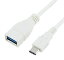 usb2.0 3.0 変換の画像