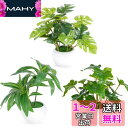 XiaZ 適格請求書発行可 人工観葉植物 フェイクグリーン 3点セット ミニ 鉢植え 造花 小型 小さい鉢植え鉢 おしゃれ インテリア 卓上 緑 植物 鉢植え ...