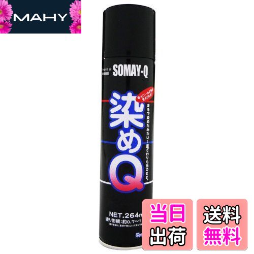 【送料無料】染めQテクノロジィ(Somay-Q Technology) 染めQエアゾール ブラック 264ML 油彩