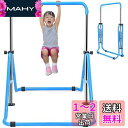 鉄棒 多機能 折りたたみ 4段高さ調節可 耐荷重100kg 室内 屋外用 家庭用 ブランコ 組み立て簡単 ステンレスバー鉄棒 滑り止め 誕生日 新年 クリスマス プレゼント(ブルー)