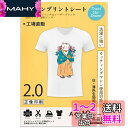 TransOurDream 真正の転写シート アイロンプリントシート2.0 正像印刷 A4 10枚 白?薄色生地用 転写紙 熱転写シート インクジェット・レーザープリンター両方使用可能 SKU:JP-2-10