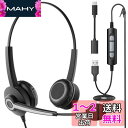 Wantek ヘッドセット USB Type-C 両耳 ノイズキャンセリングマイク付き コールセンター ヘッドセット Skype、Web会議、コールセンター、リモートワーク、在宅勤務に適用される プロ ビジネス 通信事業者 PC用ヘッドホン 明瞭な通話 超軽量 超快適 【適格請求書発行対象】