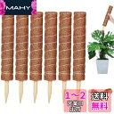 YOUSHY園芸支柱 観葉植物モンステラ支柱 ガーデニングつる性植物ココスティック支柱 観葉植物花支え 農業用園芸用(6個40cm支柱+2m麻縄)