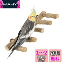 cobalt planet 鳥の5連とまり木 天然木 鳥スタンド 枝 インコ 鳥おもちゃ アスレチック 階段 噛むおもちゃ 鳥用品 鳥休み場所 インコ オウム パーチ バランス練習 おもちゃ ストレス解消(3)
