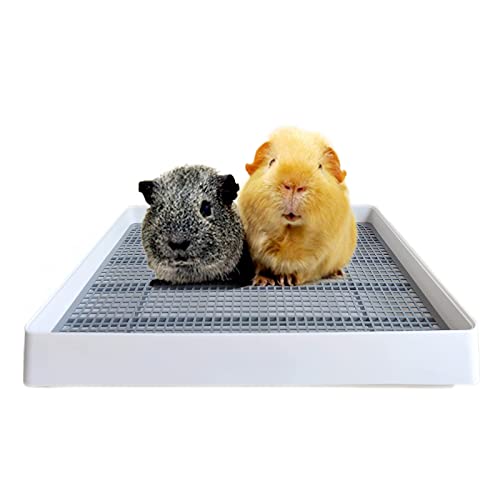 wcgfoever うさぎ トイレ 大きい スノコ 飼育ケージに内装 アクセサリー チンチラ ウサギ フラットトイレ ウサギ用品 モルモット 小動物用 トイレトレーニングに最適 おしゃれ 段差低い… その1