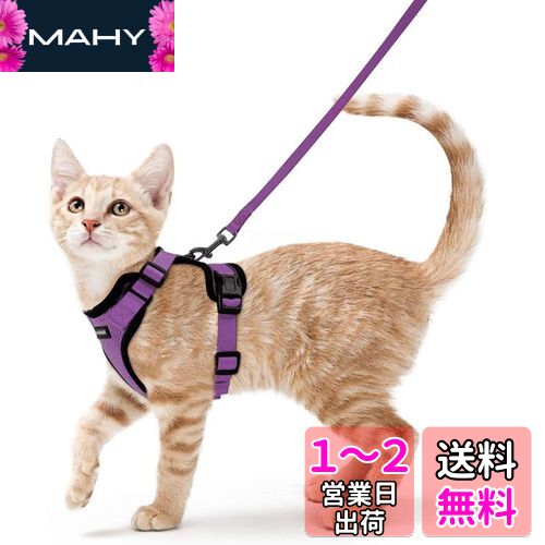 Rabbitgoo 猫 ハーネス リード セット 抜けない 猫用ハーネス ソフト軽量 犬猫兼用 超小型犬 小型犬 散歩 災害避難 はーねす りーど 足を上げず装着完成 サイズ調節可 夜反射 通気メッシュ 咳込み防止 胴輪 紐 ひも（パープル S）