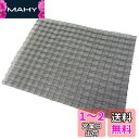 ダイニチ (Dainichi) 【純正品】 加湿器 フィルター 交換用 抗菌エアフィルター 1枚入 H060537(2)