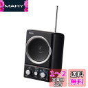 ELPA(エルパ) AM/FMスピーカーラジオ テレビにつなぐと手元で聴ける ER-SP39F