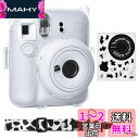 Rieibi instax mini 12ケース、インスタックスミニ 12 ケース チェキ カバー 12 Fujifilm チェキ 12 ケース クリア チェキ カバー 12 instax mini 12 ケース 透明 クリアケース ファイル収納ポケット付き ショルダーストラップ付き ステッカー付き(Milk)