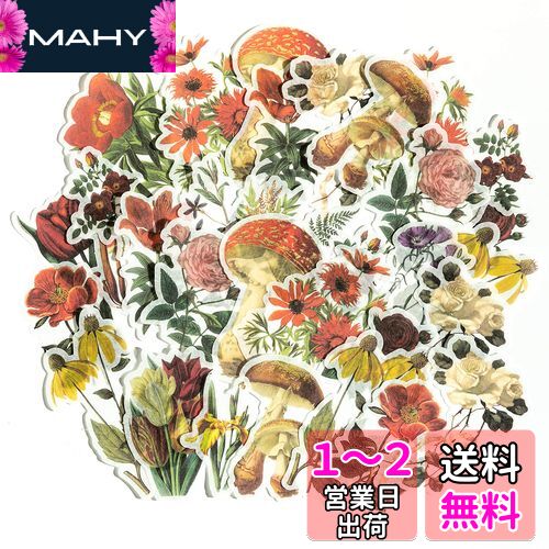Alideco ȥƥåե졼ƥååȡ DIY  ƥå  եǴ ?Ρȥƥå ơ...