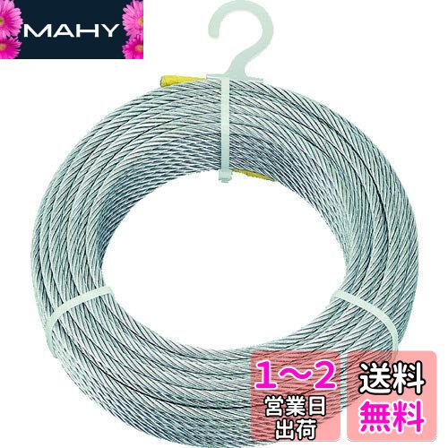 TRUSCO(トラスコ) メッキ付ワイヤーロープ Φ6mmX30m CWM-6S30 × 2巻 【ケース販売】