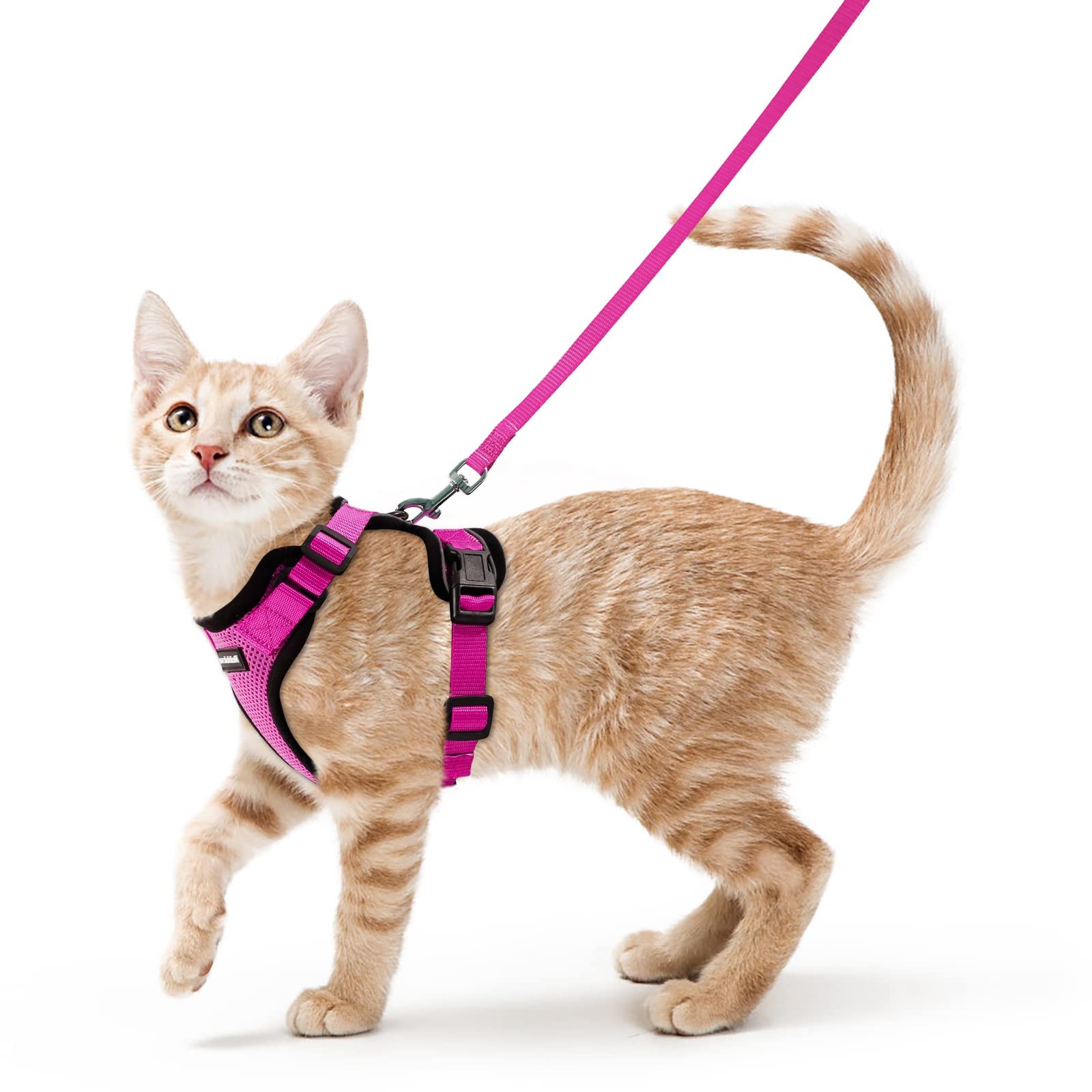 Rabbitgoo 猫 ハーネス リード セット 抜けない 猫用ハーネス ソフト軽量 犬猫兼用 超小型犬 小型犬 散歩 災害避難 はーねす りーど 足を上げず装着完成 サイズ調節可 夜反射 通気メッシュ 咳込み防止 胴輪 紐 ひも（ローズレッド XSサイズ）