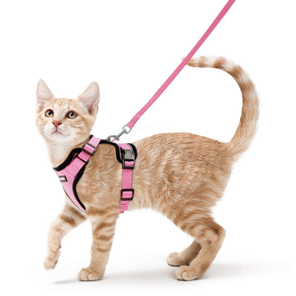 Rabbitgoo 猫用 ハーネス リードセット 犬猫兼用 超小型犬 小型犬 抜けない ソフト胸あて 軽量 足を上げず装着完成 サイズ調節可 夜反射 通気メッシュ 咳込み防止 散歩 犬用ハーネス 猫の胴輪 くびわ ベスト パグ ネコねこ子猫 散歩ひも 猫はーねす胴輪 猫 ハーネス りー