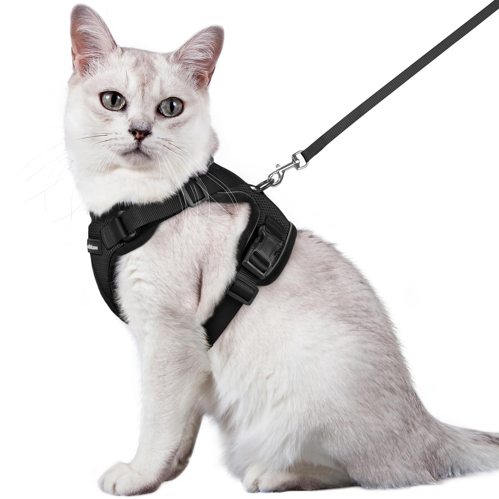 Rabbitgoo 猫 ハーネス リード セット 抜けない 猫用ハーネス ソフト軽量 犬猫兼用 超小型犬 小型犬 散歩 災害避難 はーねす りーど 足を上げず装着完成 サイズ調節可 夜反射 通気メッシュ 咳込み防止 胴輪 紐 ひも（ブラック Mサイズ）