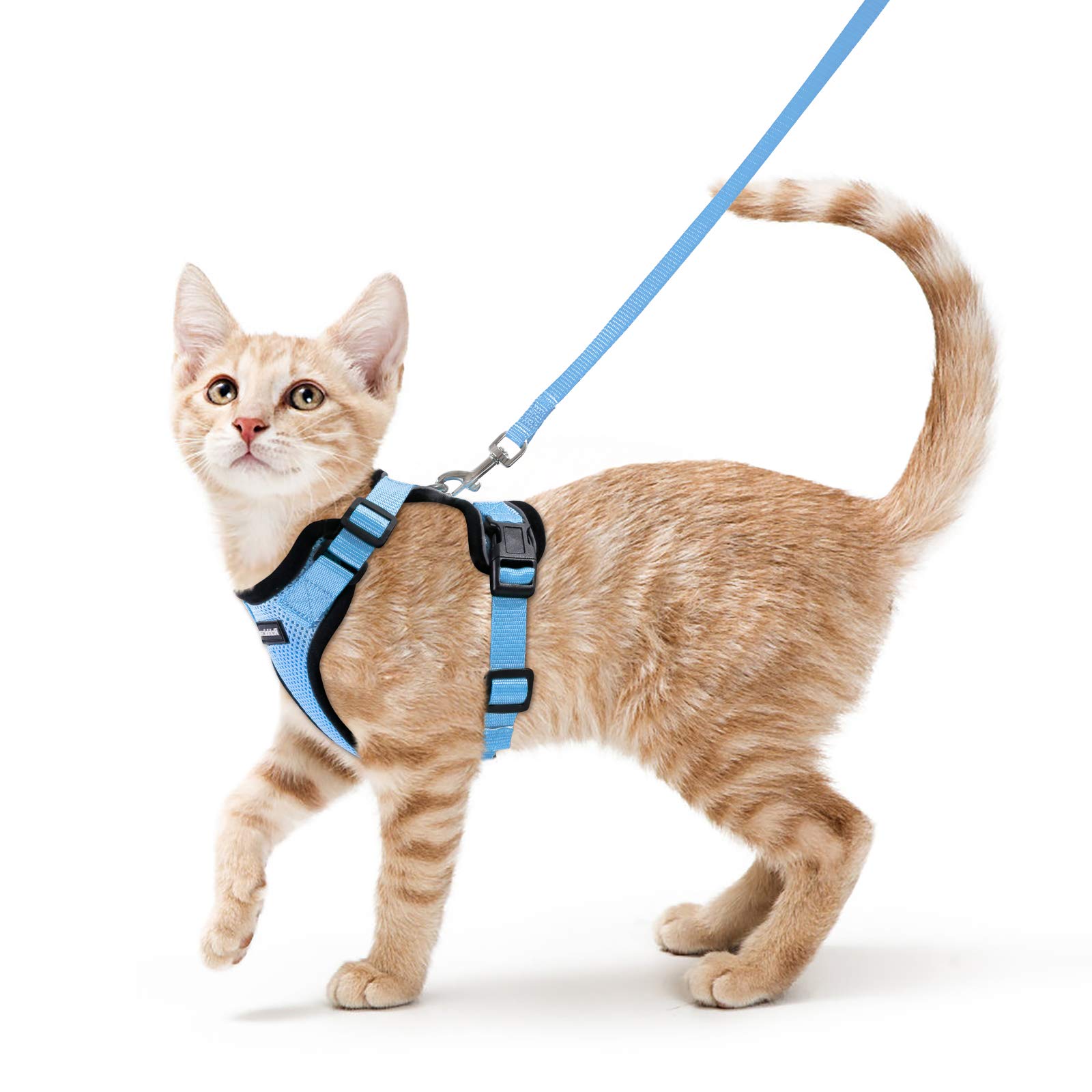 Rabbitgoo 猫用 ハーネス リードセット 犬猫兼用 超小型犬 小型犬 抜けない ソフト胸あて 軽量 足を上げず装着完成 サイズ調節可 夜反射 通気メッシュ 咳込み防止 散歩 犬用ハーネス 猫の胴輪 くびわ ベスト パグ ネコねこ子猫 散歩ひも 猫はーねす胴輪 猫 ハーネス りー